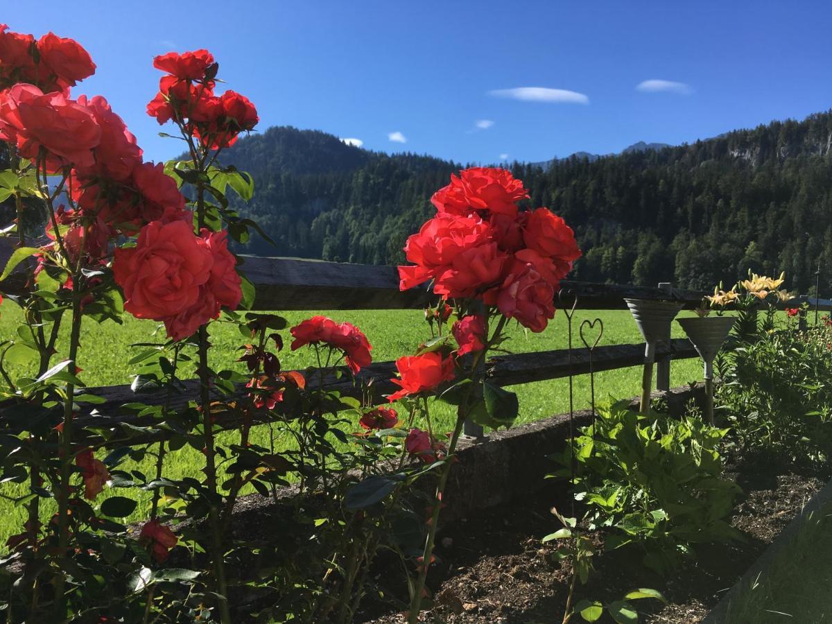 Roessle Appartement Bezau Exteriér fotografie